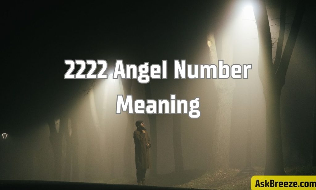 2222 Angel Number Meaning In Love, Career, Twin Flame And More