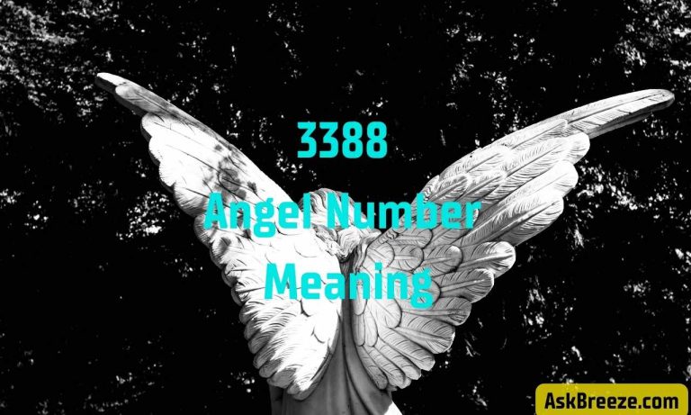 3388 Angel Number Meaning