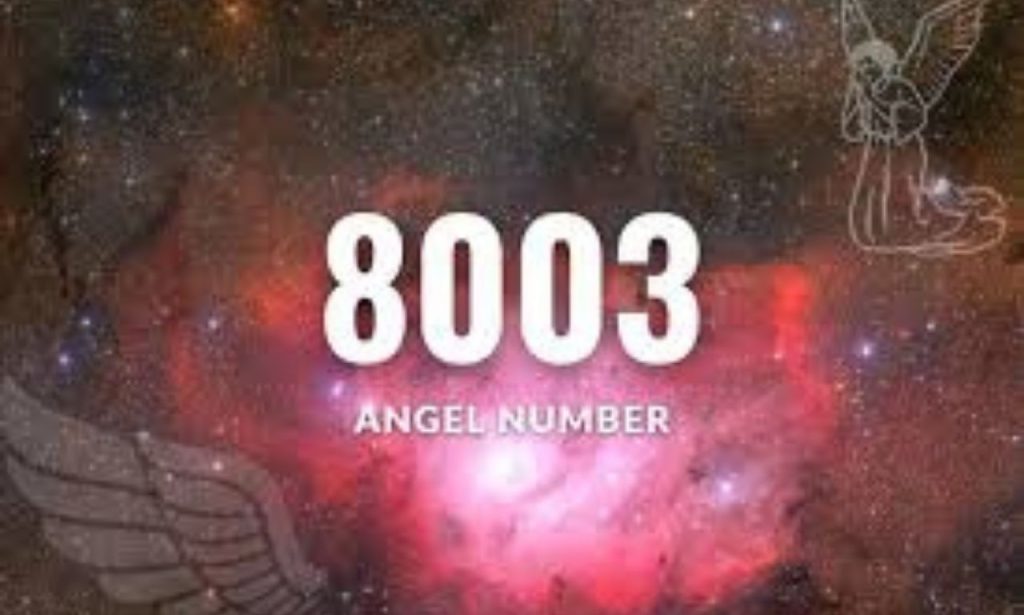 8003 Angel Number Meaning In Love