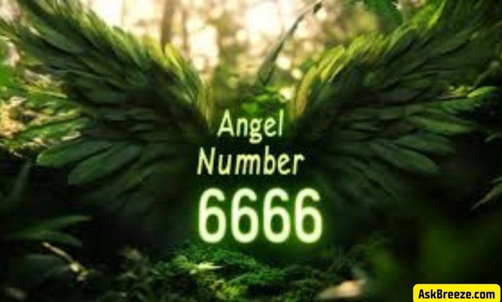 Angel Number 6666 – What Does It Mean?